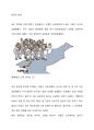 민란의 발생 (홍경래의 난, 세금) 1페이지
