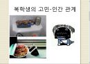 창의적 문제 해결 - 복학생에 대한 문제정의와 그 해결법 14페이지