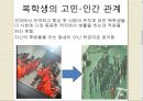 창의적 문제 해결 - 복학생에 대한 문제정의와 그 해결법 15페이지