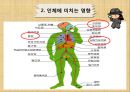 금연 보건교육 프로그램 ppt ( 보건프로그램 ) 7페이지