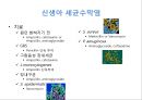 감염성질환 Infections of Nervous system - 수막염 (신생아 세균수막염, 신생아기 이후의 세균수막염).pptx 10페이지