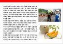 일본의 국가 브랜드[JAPAN Brand] 구축전략_국가브랜드 전략 9페이지
