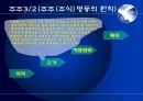 기업법발표 5페이지