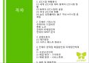 진에어 JINAIR 기업분석과 마케팅전략분석, 진에어 SWOT분석, 진에어 문제점및 해결방안과 마케팅전략 제언 2페이지