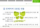 진에어 JINAIR 기업분석과 마케팅전략분석, 진에어 SWOT분석, 진에어 문제점및 해결방안과 마케팅전략 제언 30페이지