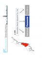 (영어,영문) Philips(필립스) vs Matsushita(마쓰시타; 마츠시타) Organizational Structure(조직 구조) 15페이지