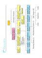 (영어,영문) Philips(필립스) vs Matsushita(마쓰시타; 마츠시타) Organizational Structure(조직 구조) 20페이지