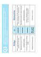 (영어,영문) Philips(필립스) vs Matsushita(마쓰시타; 마츠시타) Organizational Structure(조직 구조) 34페이지