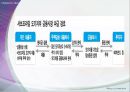 미국 서브프라임 모기지사태 원인,파급효과,한국경제에 미친영향,해결방안,교훈,시사점 8페이지