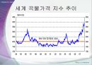 미국 서브프라임 모기지사태 원인,파급효과,한국경제에 미친영향,해결방안,교훈,시사점 11페이지