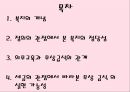 무상급식과 보편적 복지 2페이지