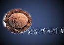 하겐다즈 마케팅전략과 광고 전략분석 22페이지