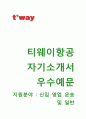 (티웨이항공자기소개서와 면접족보) 티웨이항공(영업운송 및 일반) 자기소개서 우수예문_ 티웨이항공자소서tway항공채용지원동기첨삭항목 1페이지