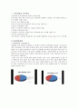 성매매특별법과 성범죄증가의 상관관계 연구,성매매특별법,성매매와 성범죄,성매매특별법시행 3페이지