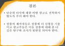 비교광고-비교광고사례,비교광고분석,Comparative Advertising 10페이지
