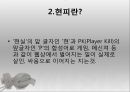 사이버문화와 청소년범죄(현피,인터넷범죄,청소년범죄사례) 4페이지