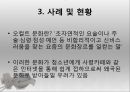 사이버문화와 청소년범죄(현피,인터넷범죄,청소년범죄사례) 6페이지