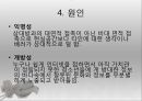 사이버문화와 청소년범죄(현피,인터넷범죄,청소년범죄사례) 9페이지