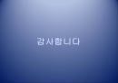 수정궁-수정궁의구조,수정궁의특징,Joseph Paxton의 수정궁(crystal palace) 11페이지