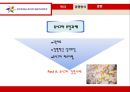 삼성 에버랜드 (글로벌경영, 6 시그마 경영, 녹색경영, 지식경영, 윤리경영, 고객만족경영).ppt
 5페이지