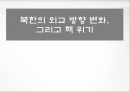 북한의 외교 방향 변화,핵 위기,북한 외교정책 레포트 1페이지