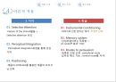 비비안-마케팅사례,비비안경여전략사례,브랜드마케팅,서비스마케팅,글로벌경영,사례분석,swot,stp,4p 11페이지