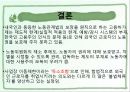 [외국인근로자] 외국인근로자정책,외국인근로자변천과정,고용허가제,사례 11페이지