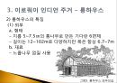 이로쿼이 인디언의 주거_인디언의주거,롱하우스,이로쿼이 7페이지