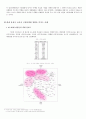 싸이월드컬러마케팅_ 컬러마케팅전략,컬러마케팅사례,컬러마케팅분석,색채마케팅,색채마케팅사례,색채마케팅전략 3페이지
