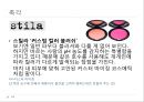 오감마케팅_ 마케팅전략사례,마케팅,브랜드,브랜드마케팅,기업,서비스마케팅,글로벌,경영,시장,사례,swot,stp,4p 14페이지