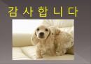 옥 션 (Auction)-오픈 마켓 온라인마케팅전략사례,브랜드마케팅,서비스마케팅,글로벌경영,사례분석,swot,stp,4p 12페이지