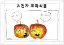 유전자-조작식품 1페이지