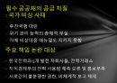 정전사태-정전사태진행경과,예비전력량,예비전력량관리메뉴얼,국가비상사태,정전 4페이지