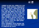 지각과 관광행동-마케팅,브랜드,브랜드마케팅,기업,서비스마케팅,글로벌,경영,시장,사례,swot,stp,4p 3페이지