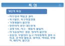 청소년 비행과 범죄 ppt자료 5페이지