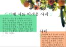 채식주의자-채식식단,우리나라 채식 인구 통계 6페이지