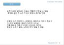 축약과 도치,도치의 정의와 분류,음소도치,음절도치,축약의 정의와 분류(자음축약,모음축약) 레포트 23페이지