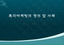 촉각마케팅- 정의 및 사례,코카콜라사례 1페이지