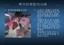 촉각마케팅 레포트 5페이지