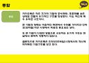 카카오톡_조직구조 레포트 7페이지