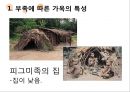 카메룬의주거,카메룬의주거문화,주거문화사례,마운딩농가 레포트 4페이지