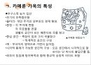 카메룬의주거,카메룬의주거문화,주거문화사례,마운딩농가 레포트 5페이지