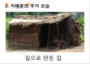 카메룬의주거,카메룬의주거문화,주거문화사례,마운딩농가 레포트 8페이지