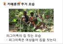 카메룬의주거,카메룬의주거문화,주거문화사례,마운딩농가 레포트 9페이지