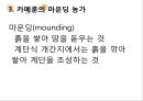 카메룬의주거,카메룬의주거문화,주거문화사례,마운딩농가 레포트 10페이지