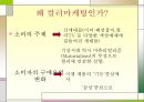 “이제는 컬러시대, 색(色)으로 승부한다” (색체마케팅, 컬러 마케팅, 컬러마케팅의 성공사례, 컬러마케팅이 나아갈 방향&전략).ppt 5페이지