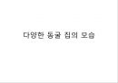  동굴 주거의 형성 배경, 다양한 동굴 집의 모습, 주거문화.ppt
 6페이지
