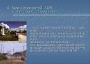 한국주택단지_The New Urbanism,교외화 8페이지