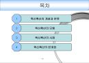 혁신확산_혁신확산모형,혁신확산사례,혁신확산개념,혁신확산분류,혁신확산한계점 2페이지