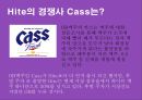 후발주자- 성공한 브랜드,화이트맥주 마케팅성공사례 6페이지